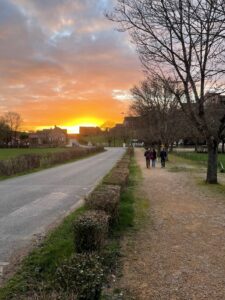 Road to the Taize community at sunrise