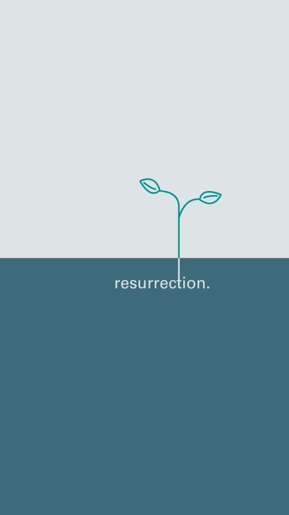 Young plant growing from the word resurrection